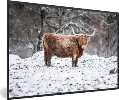 Produktbild von MuchoWow® MuchoWow® Gerahmtes Poster Schottisches Hochlandrind - Baum - Schnee 30x20 cm - Poster mit zchwarzem Bilderrahmen - Kunstdruck - Bild-Poster