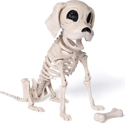 Obrázok produktu pre JOYIN Polohovateľná halloweenska dekorácia kostry psa 24,8 cm x 32 cm x 11,9 cm