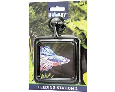 Produktbild von Futterring HOBBY Feeding Station 2 eckig 10 x 10 cm