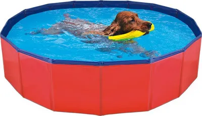Obrázek produktu pro Odnímatelný bazén Nayeco dog