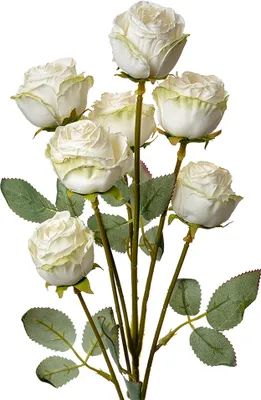 Produktbild von Clayre & Eef Kunstblume Rose 55 cm Weiß Kunststoff