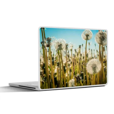 Produktbild von MuchoWow® Laptop Aufkleber Sticker Cover Blumen - Löwenzahn - Gras 36.5x27.5 cm - Laptop-Sticker