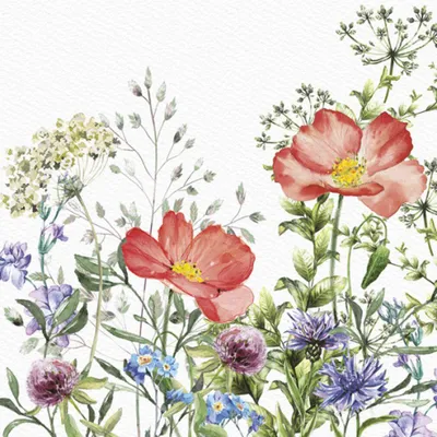 Produktbild von 20 Servietten Meadow in June - Blumenwiese im Juni 33x33cm