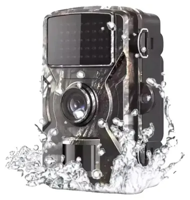Image de Caméra de surveillance de la faune, résolution d'image de 100 Mpx, déclenchement par mouvement, caméra seule