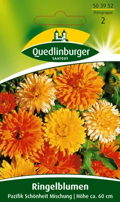 Produktbild von Ringelblume Pazifik Schönheit Mischung | Ringelblumensamen von Quedlinburger