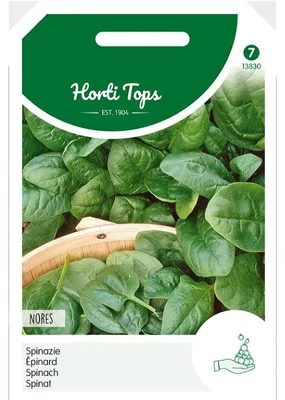 Imagen del producto de Espinacas Nores (250 g) | Semillas de espinacas de Hortitops