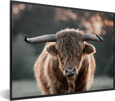 Produktbild von MuchoWow® Gerahmtes Poster Schottischer Highlander - Kuh - Natur 40x30 cm - Poster mit Schwarzem Bilderrahmen Wandposter Rahmen Foto Bilder - Kunstposter - Wanddekorationen