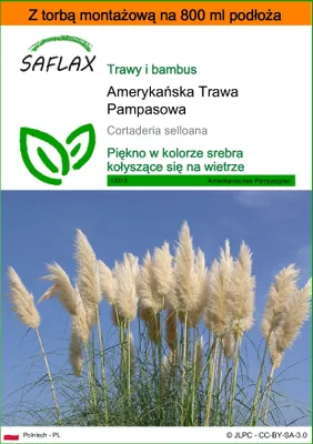 Zdjęcie produktu dla SAFLAX - Garden in the bag - Amerykańska Trawa Pampasowa - 200 Nasiona - Z podłożem uprawowym w praktycznej, samorozkładającej się torbie - Cortaderia selloana