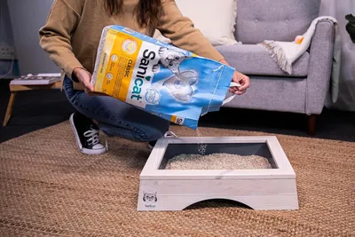 Productafbeelding van Famanu kattenbakvulling, 20 liter - Absorberend en stofvrij