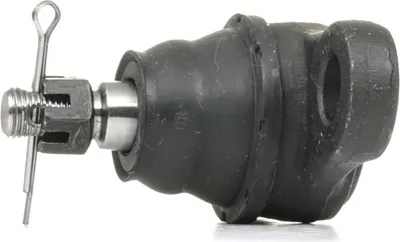 Produktbild von RIDEX Traggelenk Vorne Unten für HYUNDAI i30 (FD) 2462S0113