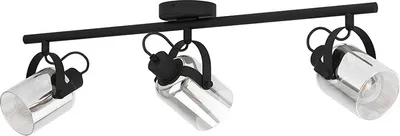 Zdjęcie produktu dla Lampa reflektor spot BERREGAS 99054 Eglo