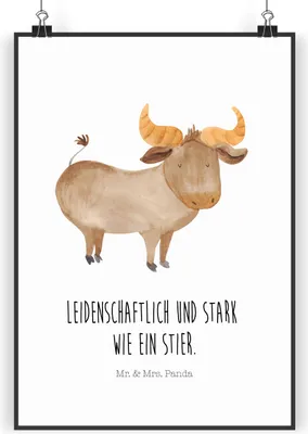 Produktbild von Mr. & Mrs. Panda Bild Sternzeichen Stier DIN A3 - Weiß - Geschenk, Rind, kunstdruck poster, Geburtstag April, Plakat, wanddeko, Wandbild, Mai, Ochse