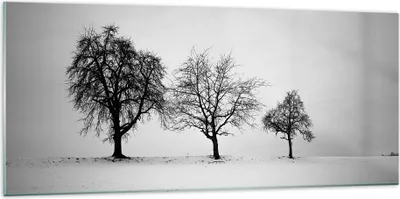 Produktbild von Bilder auf glas - Einteilig - Winter Bäume Schnee - 120x50cm - Glasbilder - Wandbilder - Bilder - zum Aufhängen bereit - Wanddekoration aus Glas - Glas Bilder - Wandbild auf Glas - GAB120x50-4958