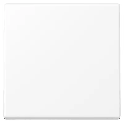 Image de Jung Bascule pour interrupteur/bouton-poussoir A590WWM (A590WWM)