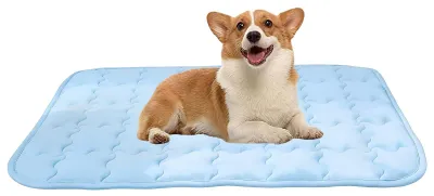 Imagen del producto de Alfombrilla refrigerante lavable para perros