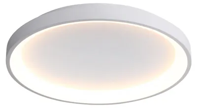 Zdjęcie produktu dla Plafon LED okrągły RADEN biały 50W Odcienie bieli 2900lm metal wym:6,5x58x58cm IP20 Italux