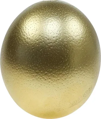 Produktbild von Straußenei Deko Gold Ausgeblasen Ø12cm Osterei Tischdeko