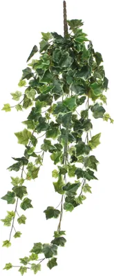 Zdjęcie produktu dla Wisząca sztuczna roślina Mica Decorations Hedera - wys. 86 cm - zielona, kolorowa