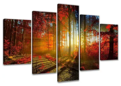 Produktbild von Visario Leinwandbild Herbstwald 160x80 cm – 5-teilig, Bild Wandbild Kunstdruck, aufhängfertig, Echtholzrahmen, Zackenaufhänger, Art. 5530