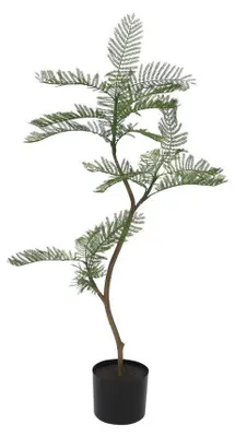 Produktbild von Kunstplant Jacaranda groen 30xH100cm