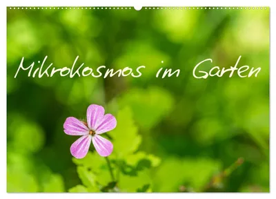 Produktbild von Mikrokosmos im Garten (Wandkalender 2027 DIN A2 quer), CALVENDO Monatskalender