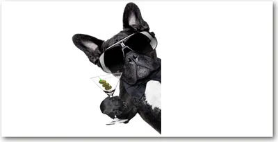 Produktbild von Tulup® Glas-Bild - 100x50 -Wandkunst - Wandbild hinter gehärtetem Sicherheitsglas  - Tiere - Hund mit Martini - Schwarz
