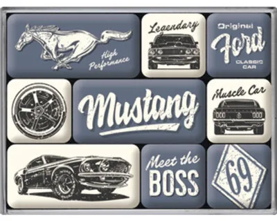 Zdjęcie produktu dla Magnesy (9Szt) Ford Mustang Boss