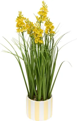 Produktbild von Kunstpflanze daura 47 cm  - Atmosphera créateur d'intérieur