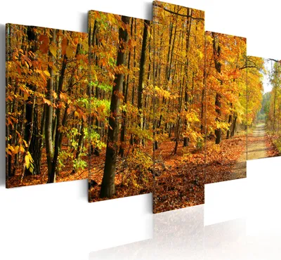 Produktbild von Leinwandbilder Natur 200x100 cm Vlies Leinwandbild 5 tlg Kunstdruck modern Wandbilder XXL Wanddekoration Design Wand Bild - Herbst Landschaft Wald Weg 030212-55