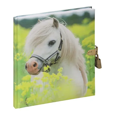 Produktbild von PAGNA Tagebuch "Kleines Pony" 128 Blatt mit Schloss