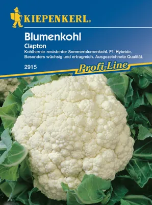 Produktbild von Blumenkohl Clapton weiß resistent