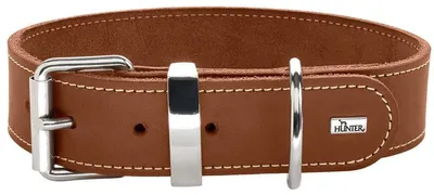 Imagen del producto de Collar para perros de la marca Hunter, modelo Aalborg, edición especial