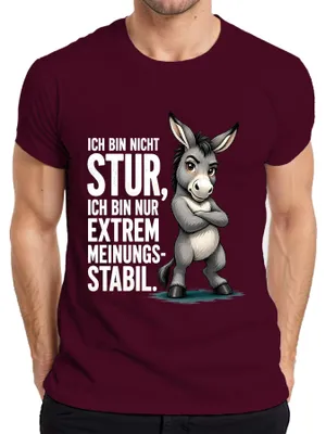 Obrázek produktu pro Tričko s nápisem "Nejsem jen tvrdohlavý, jsem extrémně stabilní ve svých názorech", sarkastické, pánské, barva: vínová, velikost: L