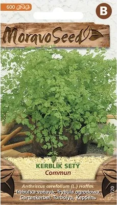 Produktbild von Kleeblatt Samen mit Anisgeruch für Salate, Suppen und halbschattigen Standort