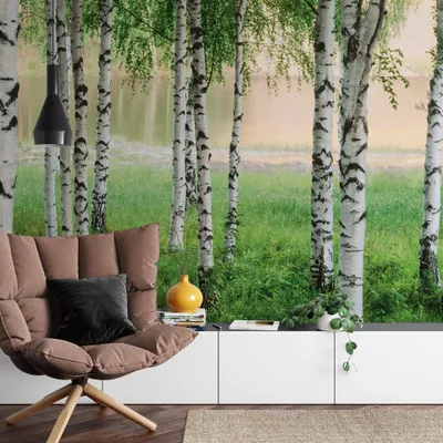 Produktbild von A.S. Création Vlies Fototapete Birkenwald Nordic Forest DD119007 Wald Designwall