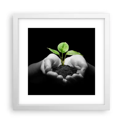 Produktbild von Gerahmtes Poster - Weißer Rahmen - Natur Pflanze Wissenschaft Schutz - 30x30 cm - Wand Bild - Wanddeko - Wandbilder - Wandposter - Bilderrahmen - Bilder - Kunstdruck - Wandbild - P2WAC30x30-2188