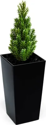 Zdjęcie produktu dla Donica Trapez Ogrodowa z Wkładem Doniczka Dekoracyjna 19x19cm Domowa Kwadratowa do Kwiatów Czarna POŁYSK