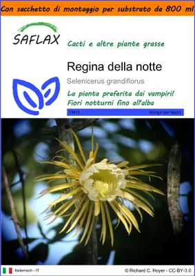 Immagine prodotto di SAFLAX Garden in the bag - Regina della notte - 40 semi - Selenicerus