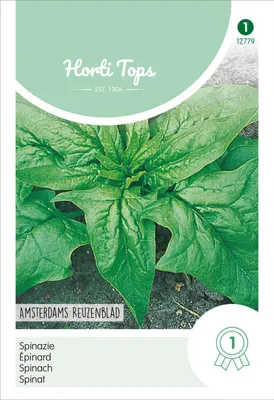Produktbild von Spinat Amsterdams Scharfsamiger | Spinatsamen von Hortitops