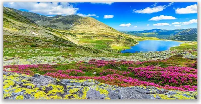 Produktbild von Acrylglasbilder 120x60 Wandbild Druck Gebirge Bucht Wiese Natur