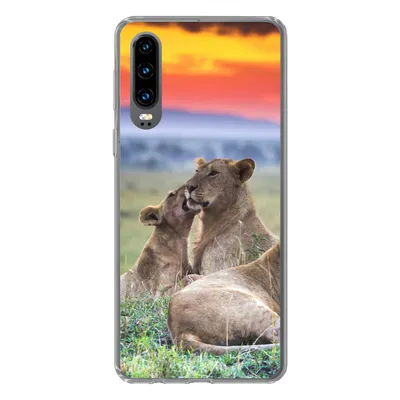 Produktbild von MuchoWow® Handyhülle Schutzhülle Hülle für Huawei P30 Löwen bei Sonnenaufgang Silikon Softcase Handy Hülle - Kartenbesitzer