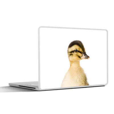 Produktbild von MuchoWow® Laptop Aufkleber Sticker Cover Ente - Gelb - Tiere - Natur 25x18 cm - Laptop-Deko