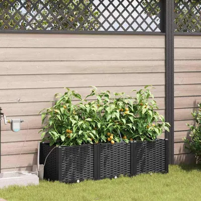 Image de Maison Exclusive - Ensemble de 3 pots de jardin, couleur noire, dimensions 120 x 40 x 37,5 cm, en plastique PP