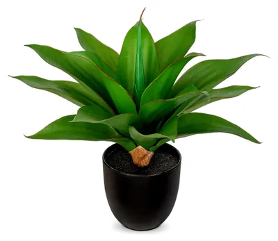 Produktbild von 33 cm Künstliche Agave Pflanze Klein im Topf für Tischdekoration