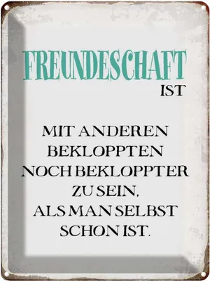 Produktbild von vianmo Blechschild 40x30 cm Freundschaft ist mit anderen Spruch Zitat