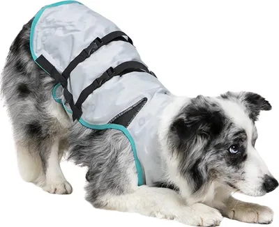 Image de Suitical DRY® Cooling Vest Dog argenté, taille : L