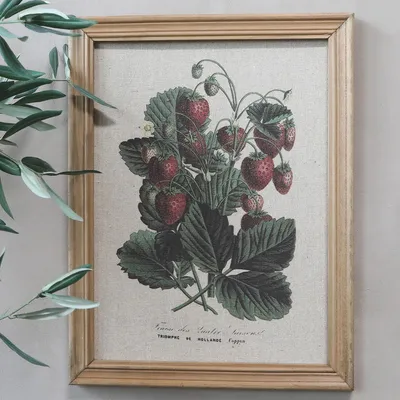 Zdjęcie produktu dla Obraz przedstawiający leśne truskawki