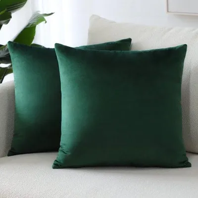 Obrázek produktu pro Ibenzoa® Sada 2 kusů h sametových povlaků na polštáře, 50 x 50 cm – skrytý zip, měkké a šetrné k pokožce, vhodné do obývacího pokoje, ložnice a na pohovku