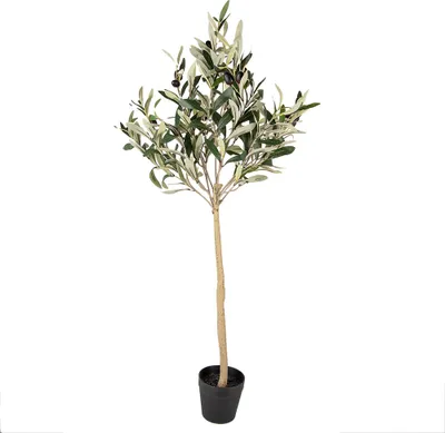 Immagine prodotto di Ulivo artificiale Clayre & Eef 90 cm in plastica verde