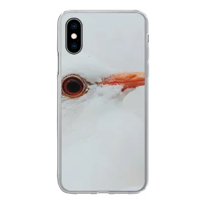 Produktbild von MuchoWow® Handyhülle Schutzhülle Hülle für iPhone X Nahaufnahme einer weißen Taube Silikon Softcase Handy Hülle - Handyhülle